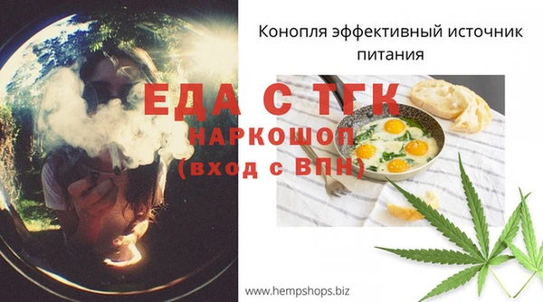 СК Володарск