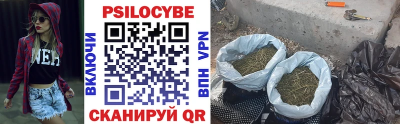 Купить  Новосокольники  Псилоцибиновые грибы прущие грибы 